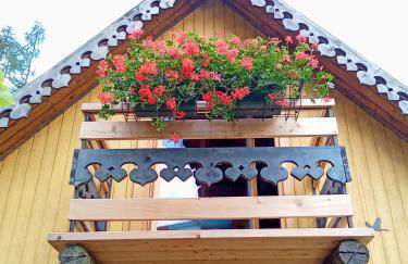 Il nido (Cica) - Foto 3