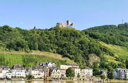 Ferienwohnung im Moseltal - Foto 28