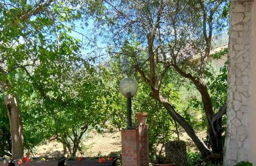 Home SG jato - Foto 12