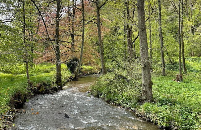 Castle in Ferrieres With Pond Garden - Photo 35