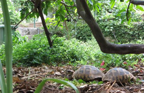 Holiday Home Artina 2 - Foto 34