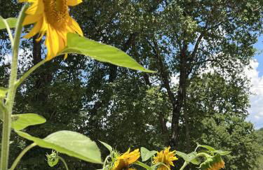 La Noce di Creta - Foto 39