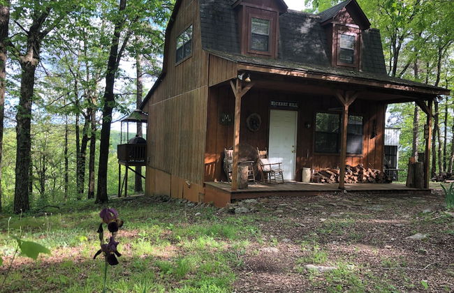 Hickory Hill Cabin Rentals - Foto 47