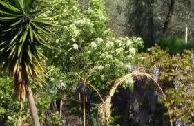 La Garbatella - Foto 13