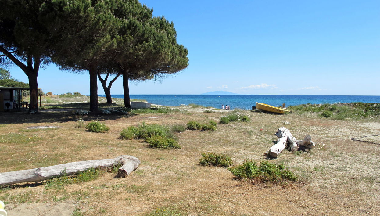 Rico Plage type A - Photo 1, Terrace