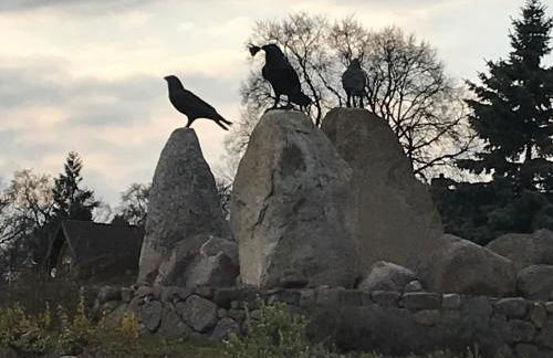 Raben Steinfeld Forststrasse Am Residence-Park - Foto 24