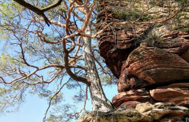 Haus Pfaffenfels - Foto 25