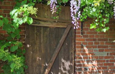 Ferienwohnung Radszys - Foto 23