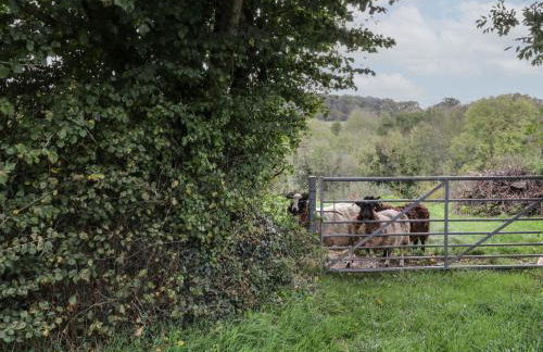 Brimley Barn - Photo 18