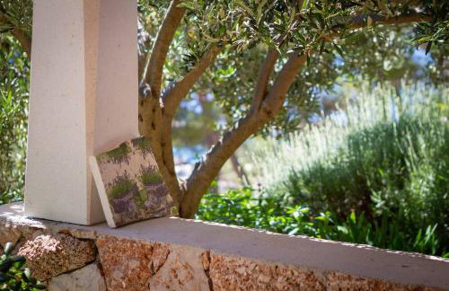 Apartments Silvana - Foto 59