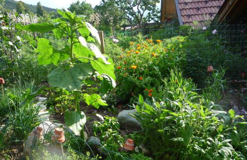 Froetscherhof, Urlaub auf dem Bio-Bauernhof in Brixen, Appartments, Sauna und BrixenCard - Foto 73