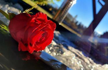 Tatra House z Jacuzzi - Foto 7