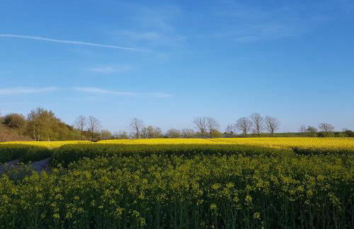 Ferienwohnung mit Tiny House - Foto 7