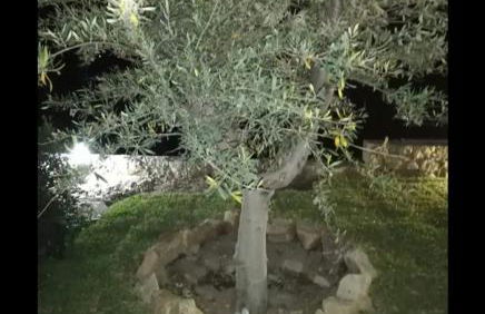 Villa Mida - Foto 14