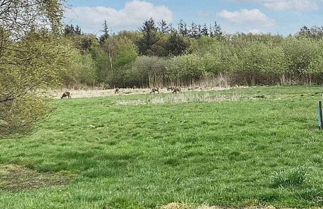 24 Person Holiday Home in Oster Assels - Foto 28