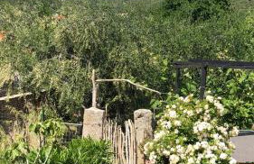 VILLA IL BLU direkt am Meer - Foto 27