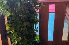 Morada Sol e Lua Guarda do Embaú com Ar condicionado - Foto 50