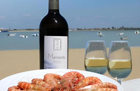 Apartamento Poniente Sanlúcar - Centro - Foto 39