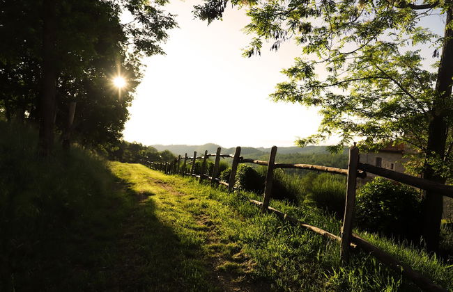 SPAO Borgo San Pietro AquaeOrtus - Foto 48