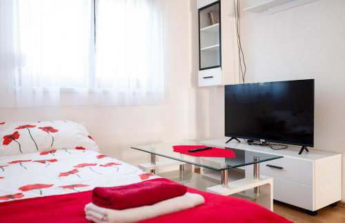 Dalmatian - Photo 28