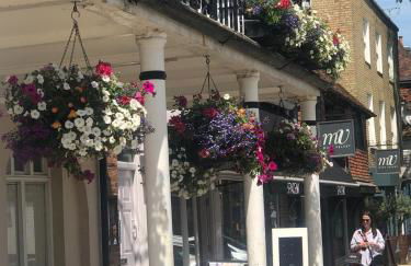 Amazing cottage right in the heart of Ewhurst Green, overlooking Bodiam Castle - Foto 27