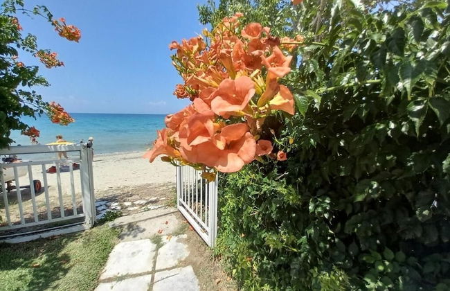 Greek Pride Evlogia - Foto 54