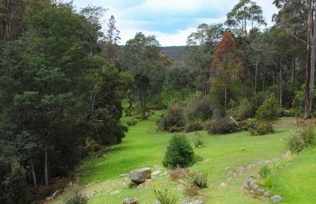 Minnow cabins - Foto 26