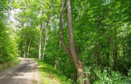 Blue Ridge Mountain Retreat - 30 acres to explore & VIEWS, Sleeps 15 - Foto 38