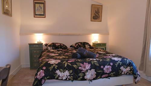 typical mas provençal with swimming pool in a small hamlet near mouriès in the alpilles in provence- 8 persons - Foto 5