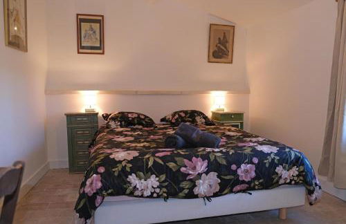 typical mas provençal with swimming pool in a small hamlet near mouriès in the alpilles in provence- 8 persons - Foto 5