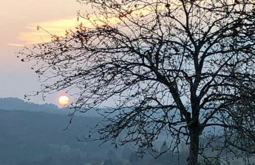 Eifelcottage Wren - Foto 18