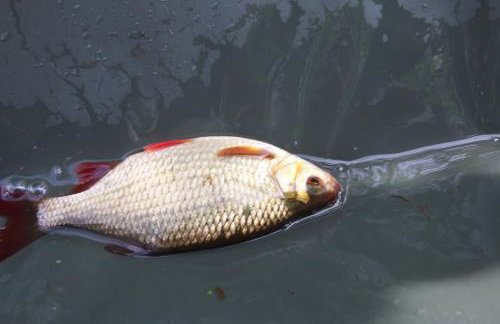 Waterside Lodges Cambridge - Foto 60