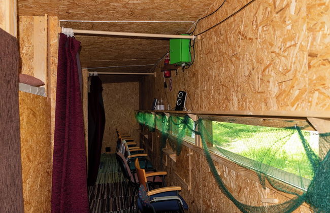 Bear Watching and Photography Hide - Foto 4