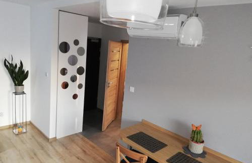 Kompozytor - Foto 18