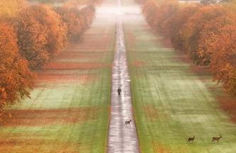 Central Windsor, FREE Parking 300m to Castle, Pet Friendly - Foto 18