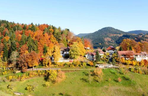 Ferienwohnung Fürstenkopf - Foto 45
