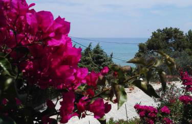 Bouganville Studios Stegna - Foto 14