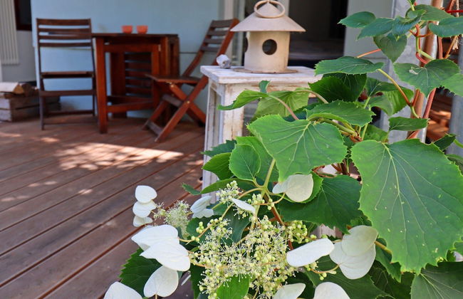 Apartment in Wismar With Garden - Foto 12