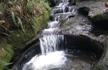 Hospedagem Colinas - Foto 26