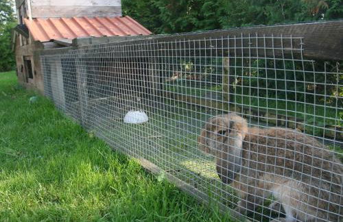 Cozy Apartment in Kägsdorf near Sea - Foto 29