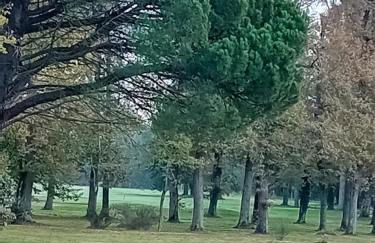 Appartement T2 face au golf - Foto 19