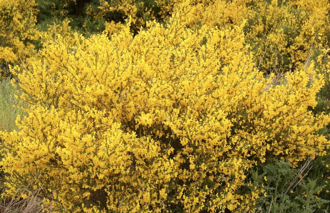 Hillside Havens - Foto 66