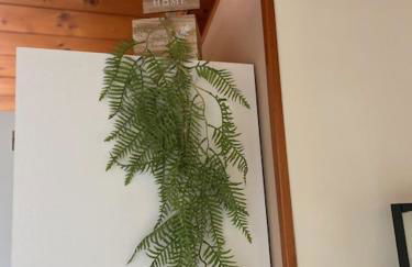 Vesux Apartments - Photo 18