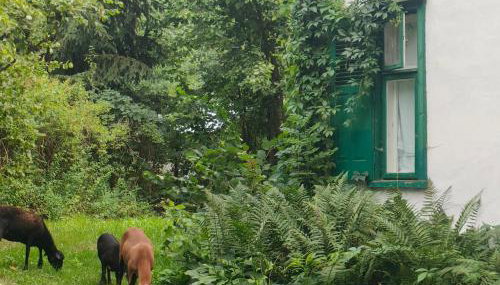 Willa Gaszek - Foto 5