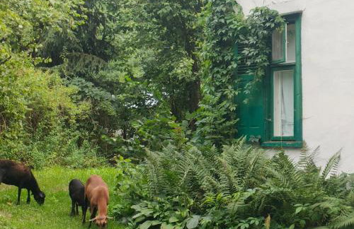 Willa Gaszek - Photo 5