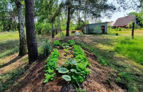 Pommernhaus Urgemütlicher Roter Schwede - Foto 11