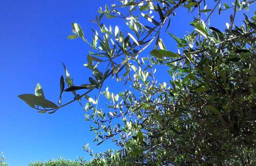 Residence La Carruba - Foto 73