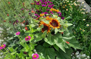 Villa la Torre Levante - Photo 42