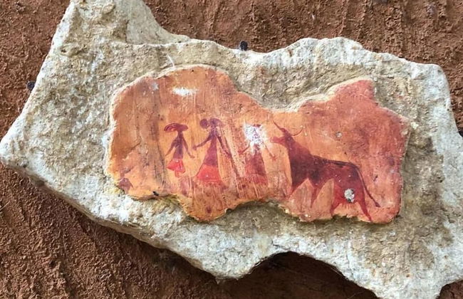 Thick forest sigiriya - Photo 31