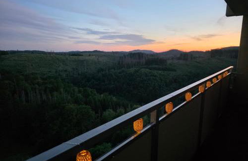 Modernes Harz Studio Apartment Ferienwohnung über den Baumspitzen - Foto 16